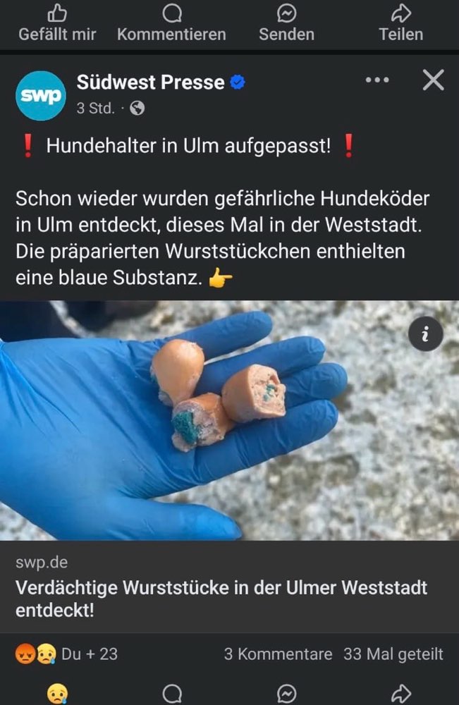 Giftköder-Giftköder Ulm Elisabethenstrasse-Profilbild