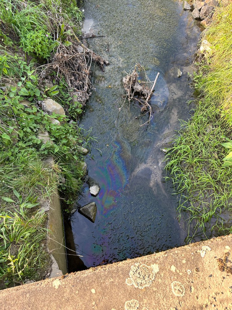 Giftköder-Ölfilm im Elliehäuser Bach-Profilbild