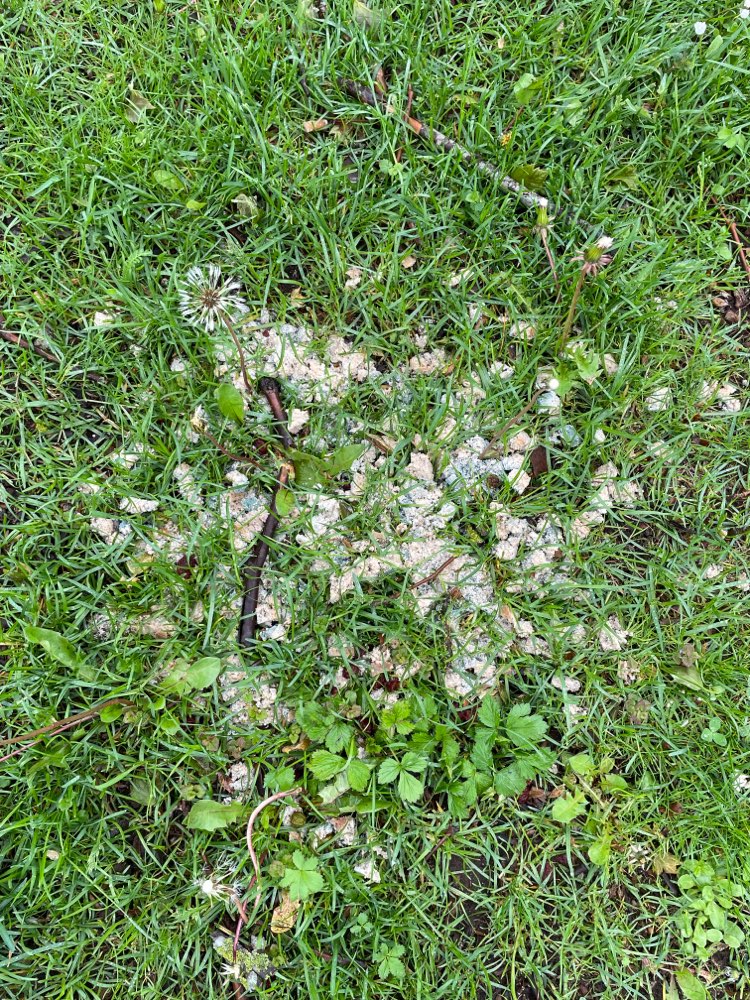 Giftköder-Brot mit verdächtig blauen Pulver-Profilbild