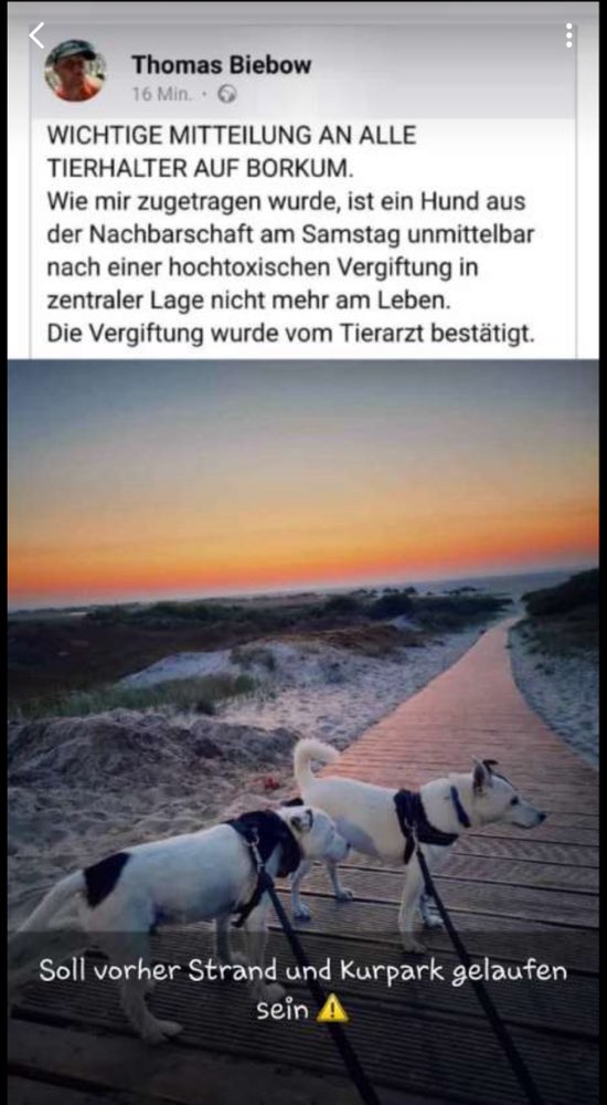 Giftköder-Vergiftung-Profilbild