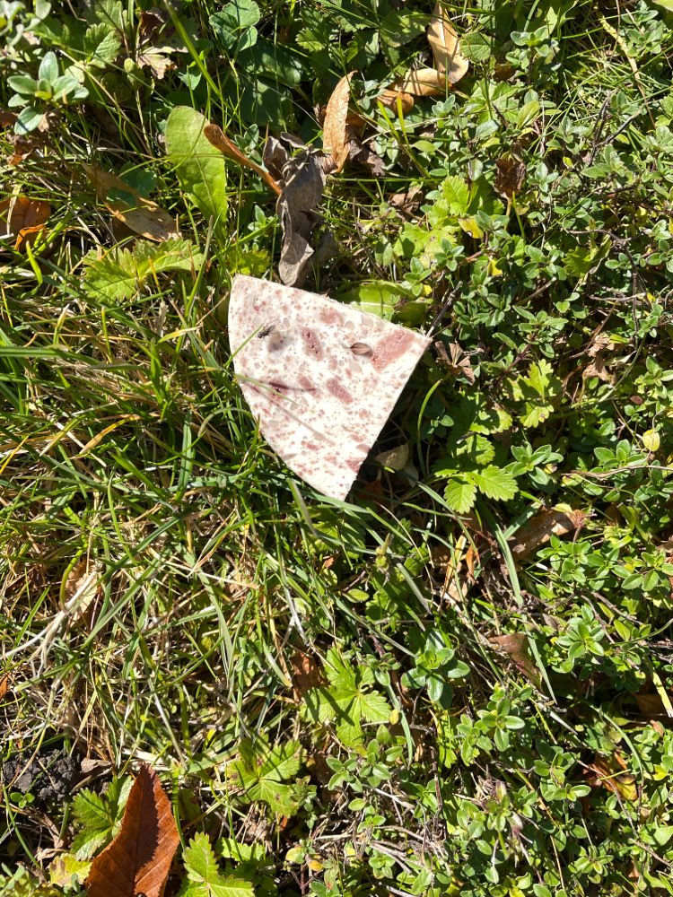 Giftköder-Jede Menge Fleisch-Profilbild