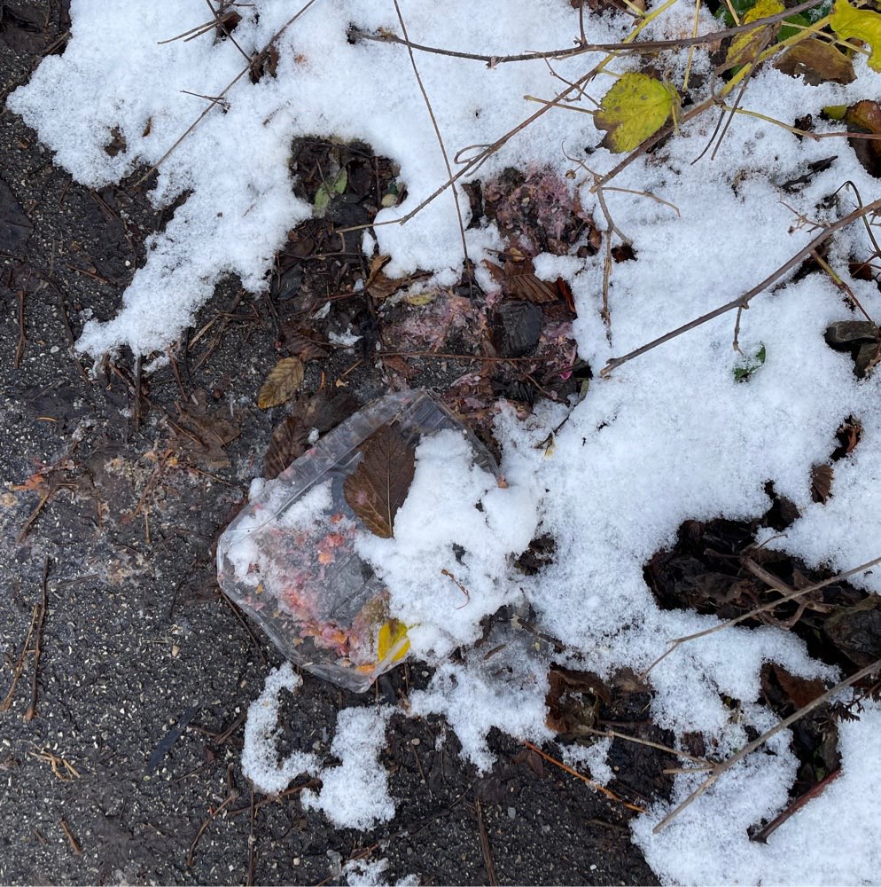 Giftköder-Hackfleisch-Profilbild
