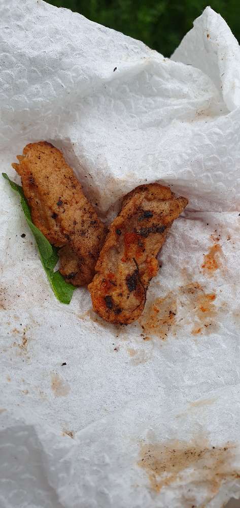 Giftköder-Fleischstückchen / mgl. Giftköder-Profilbild