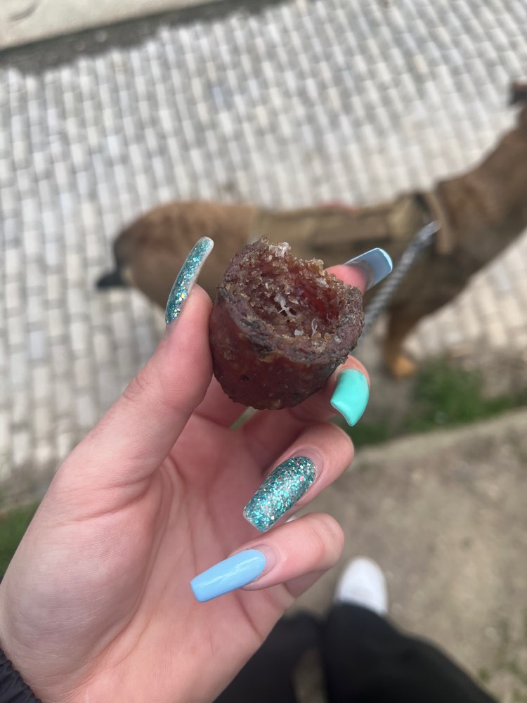 Giftköder-Wurst ausgehöhlert evtl mit Inhalt-Profilbild