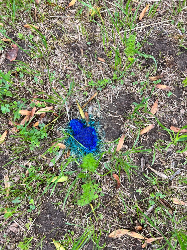 Giftköder-Unbekannte Substanz-Profilbild