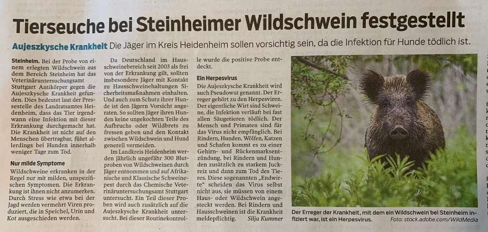 Giftköder-Aujeszkysche Krankheit-Profilbild