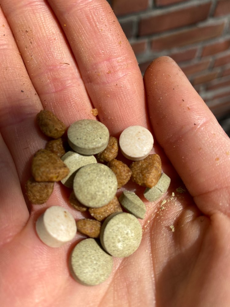 Giftköder-Diverse Katzenleckerlies und Kracker-Profilbild