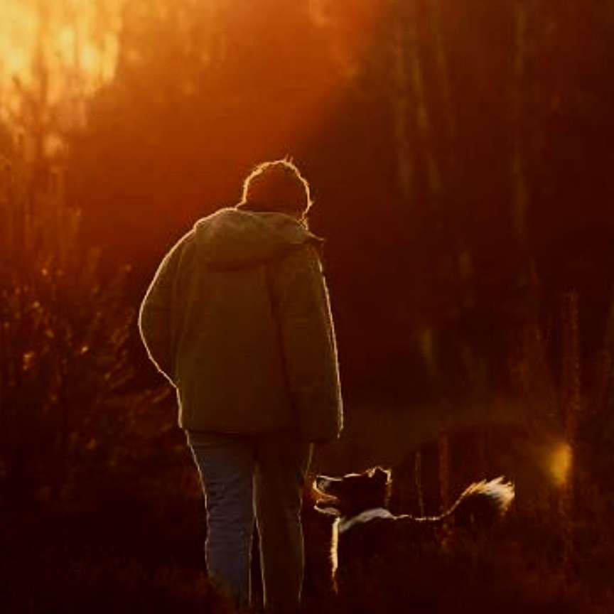 Du & Dein 🐕 beim Sonnenuntergang im Wald Banner