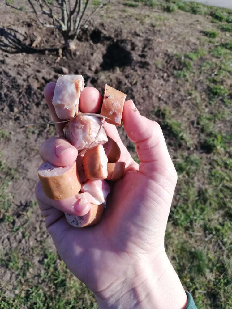 Giftköder-Wurststücke-Profilbild
