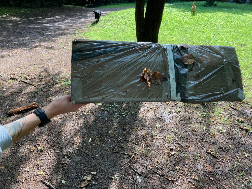 Giftköder-Giftköder im Viehburger Gehölz-Profilbild