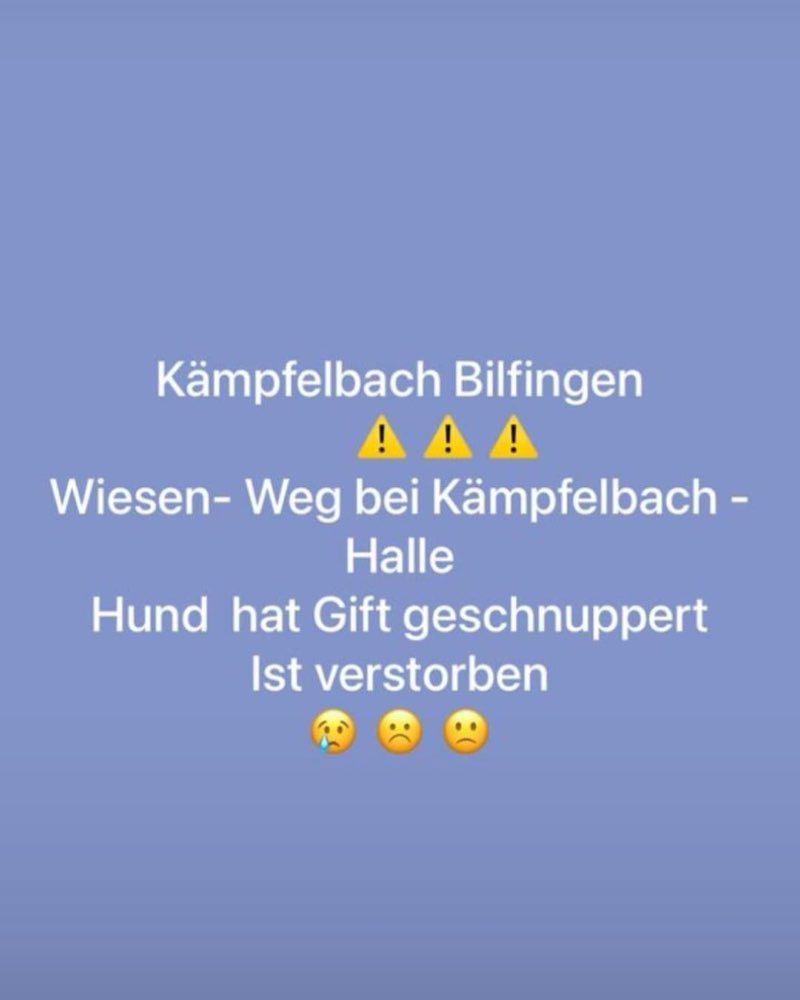 Giftköder-Giftköder! Hund verstorben-Profilbild