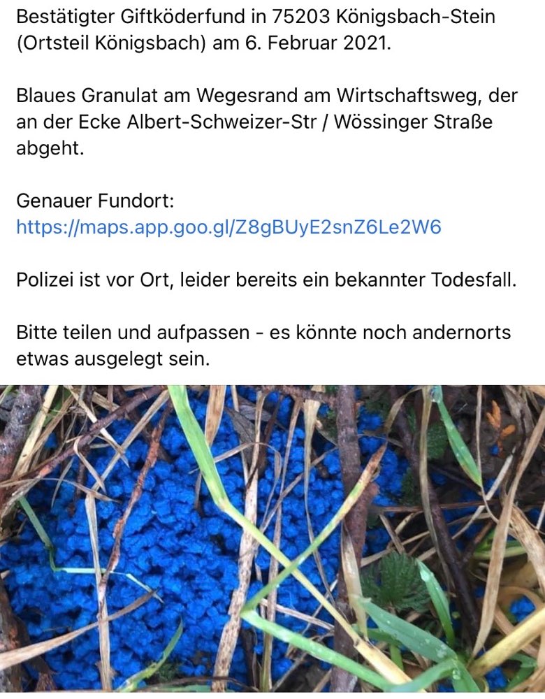 Giftköder-Giftköder-Profilbild