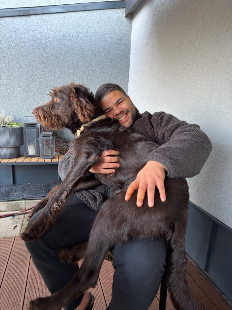 Hundetreffen-DOGGO WALKI MIT SPIELEN IN KASSEL-Profilbild