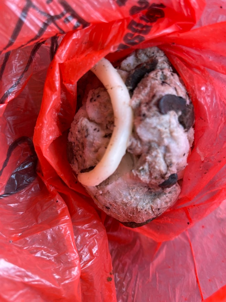 Giftköder-Möglicher Giftköder-Profilbild