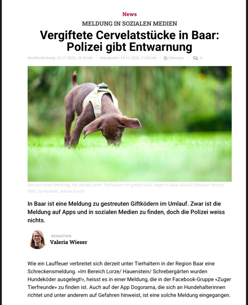 Giftköder-Giftköder-Profilbild