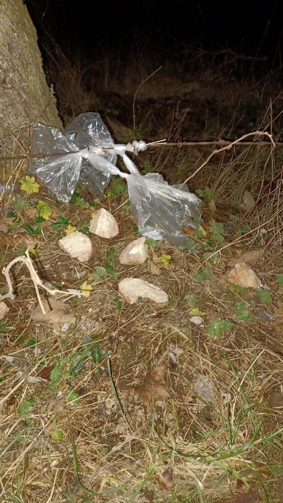 Giftköder-Giftköder-Profilbild