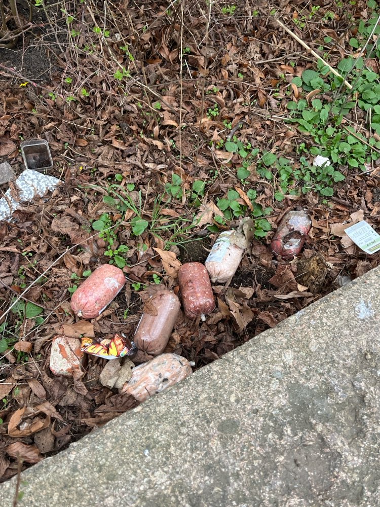 Giftköder-Möglicher Giftköder-Profilbild