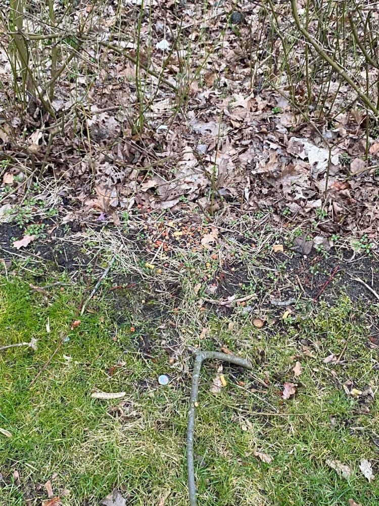 Giftköder-Hundefutter ausgelegt-Profilbild