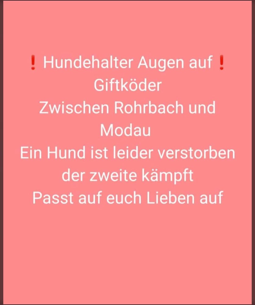 Giftköder-Giftköder-Profilbild