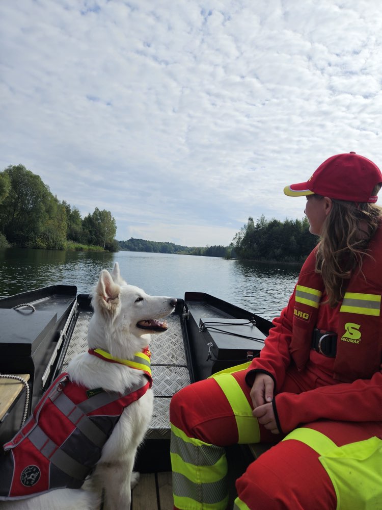 Hundetreffen-Rettungshundearbeit auf dem Wasser-Profilbild