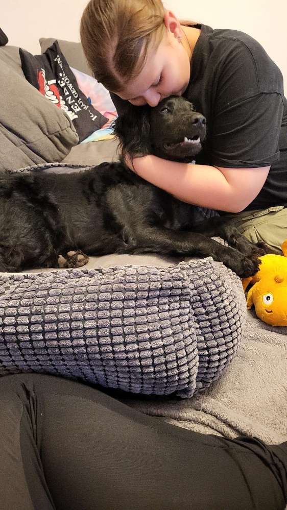 Hundetreffen-Spazieren gehen-Profilbild