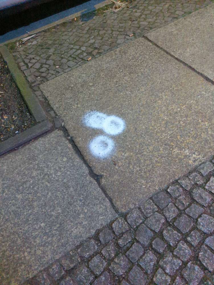 Giftköder-Weißes Pulver-Profilbild