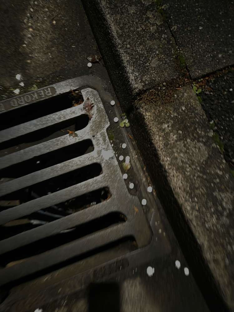 Giftköder-Weiße Tabletten-Profilbild