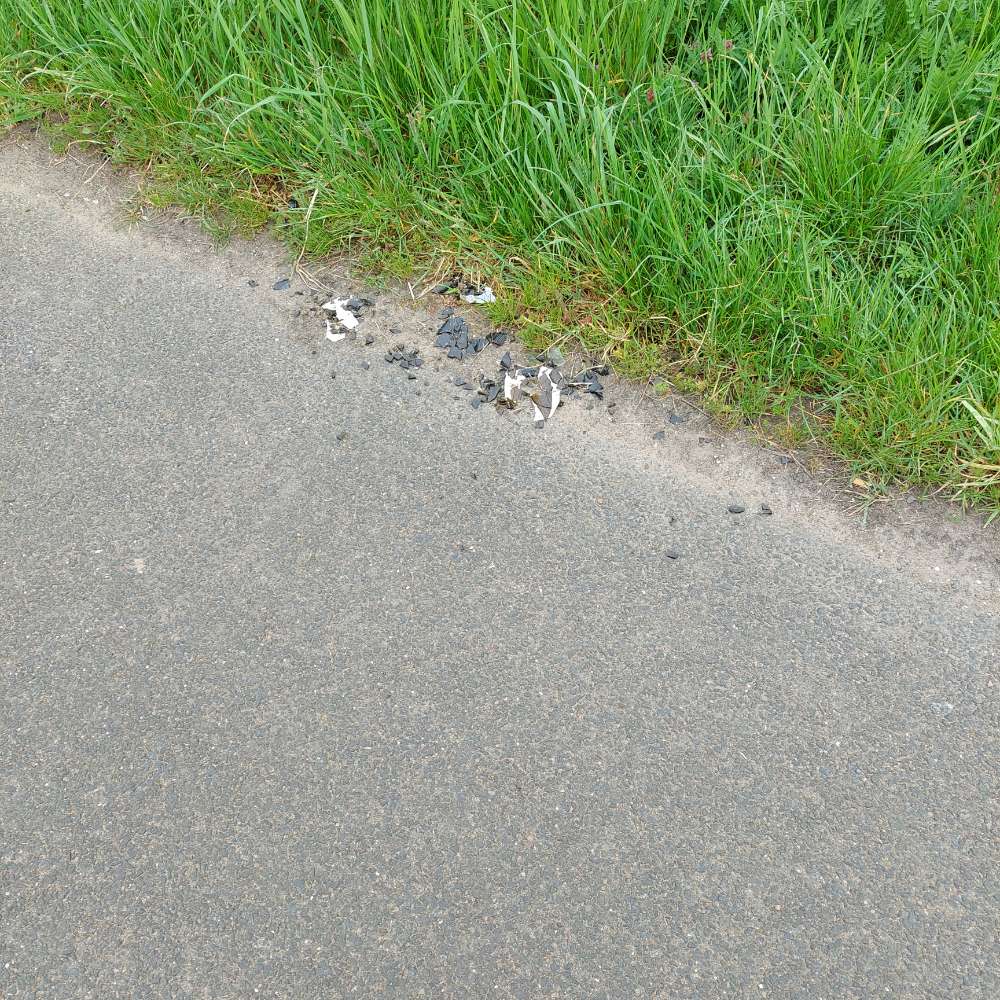 Giftköder-Glasscherben am Wegrand-Profilbild