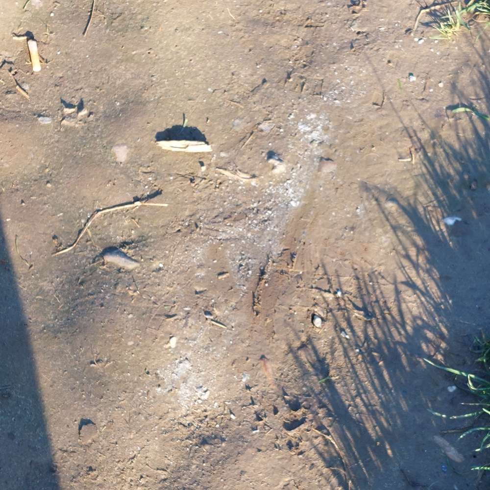 Giftköder-Weisses Pulver verstreut (Auenweg)-Profilbild