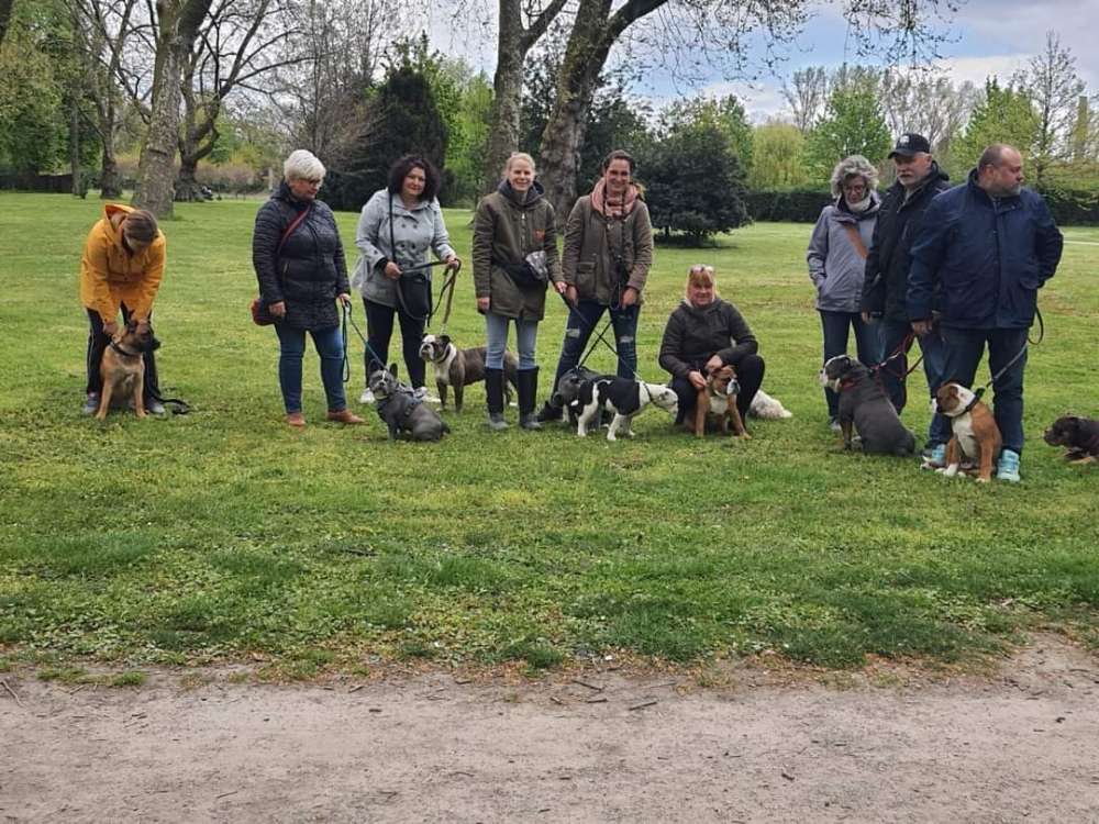 Hundetreffen-Bulldoggentreffen auf Facebook Bulldoggen im Ruhrgebiet-Profilbild