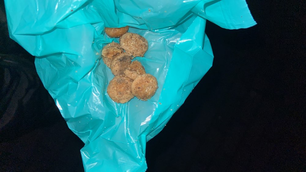 Giftköder-Giftköder-Profilbild