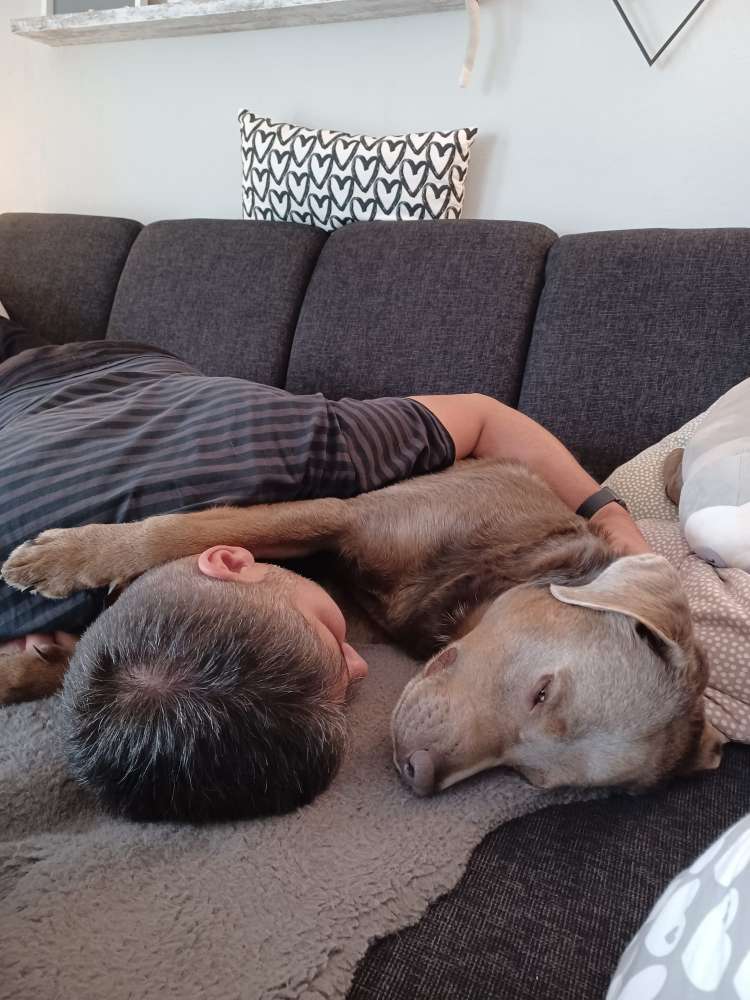 Hundetreffen-Gassitreffen vor Arbeitsbeginn-Profilbild