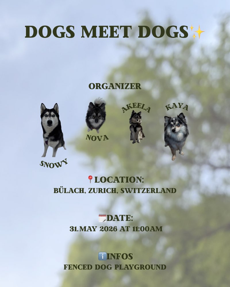 Hundetreffen-🐾DOGS MEET DOGS🐾-Profilbild