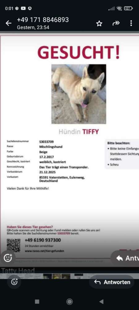 Suchmeldung-Tiffy-Profilbild