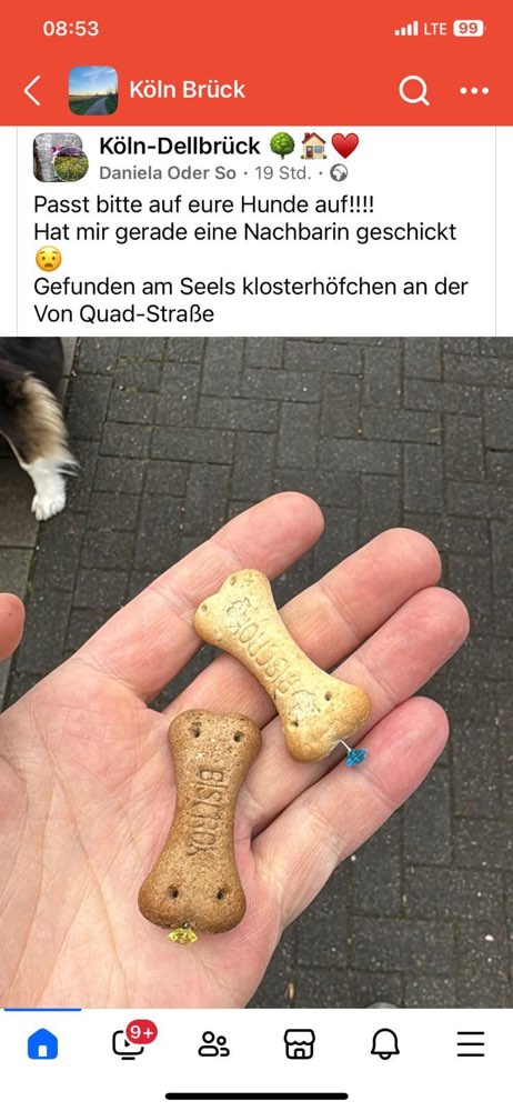 Giftköder-Futter mit Reißzwecken-Profilbild