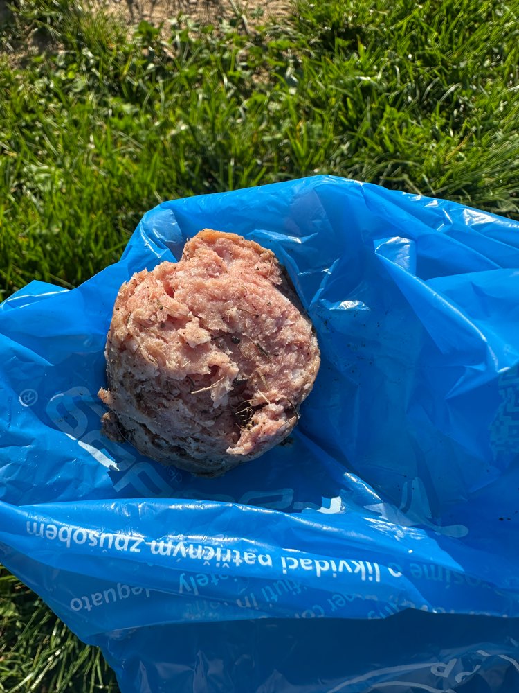 Giftköder-Vermutlich Giftköder-Profilbild