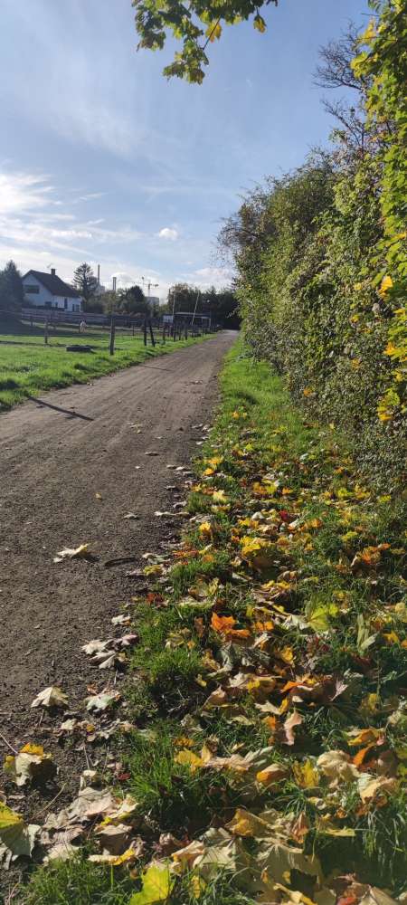Giftköder-Fleisch-Profilbild