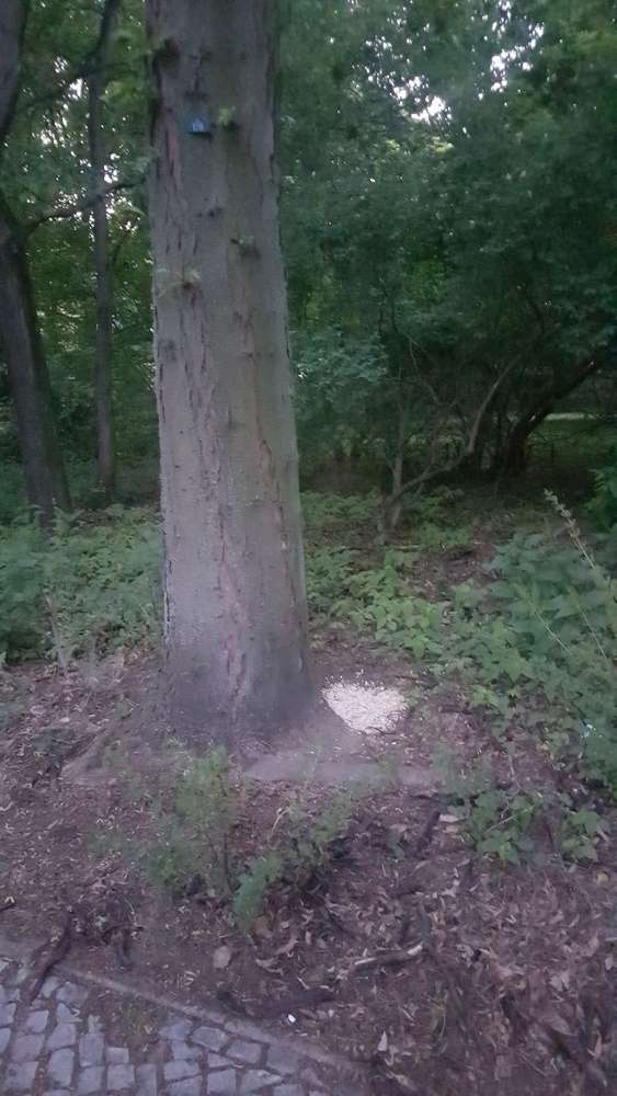 Giftköder-haferflocken irgendwas mix-Profilbild