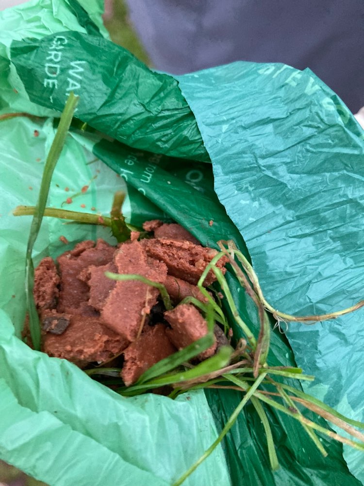 Giftköder-Evtl. Giftköder gefunden-Profilbild