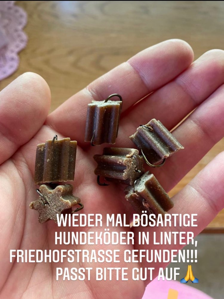 Giftköder-Leckerlis mit Nägel präpariert-Profilbild