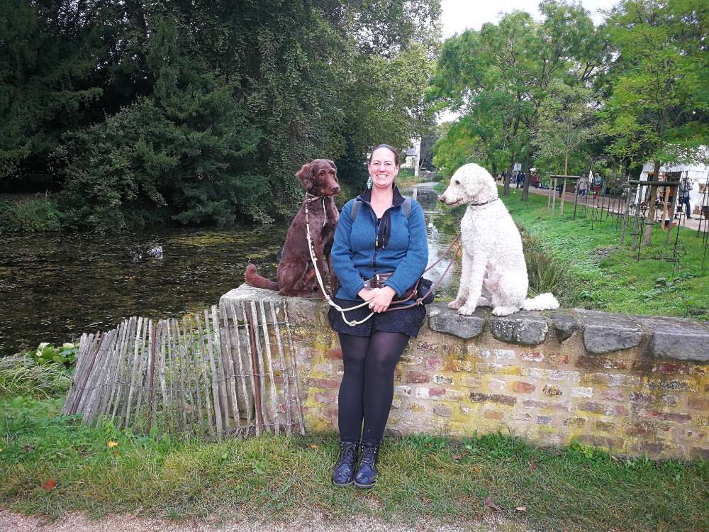 Hundetreffen-Übungs-Spaziergang-Profilbild