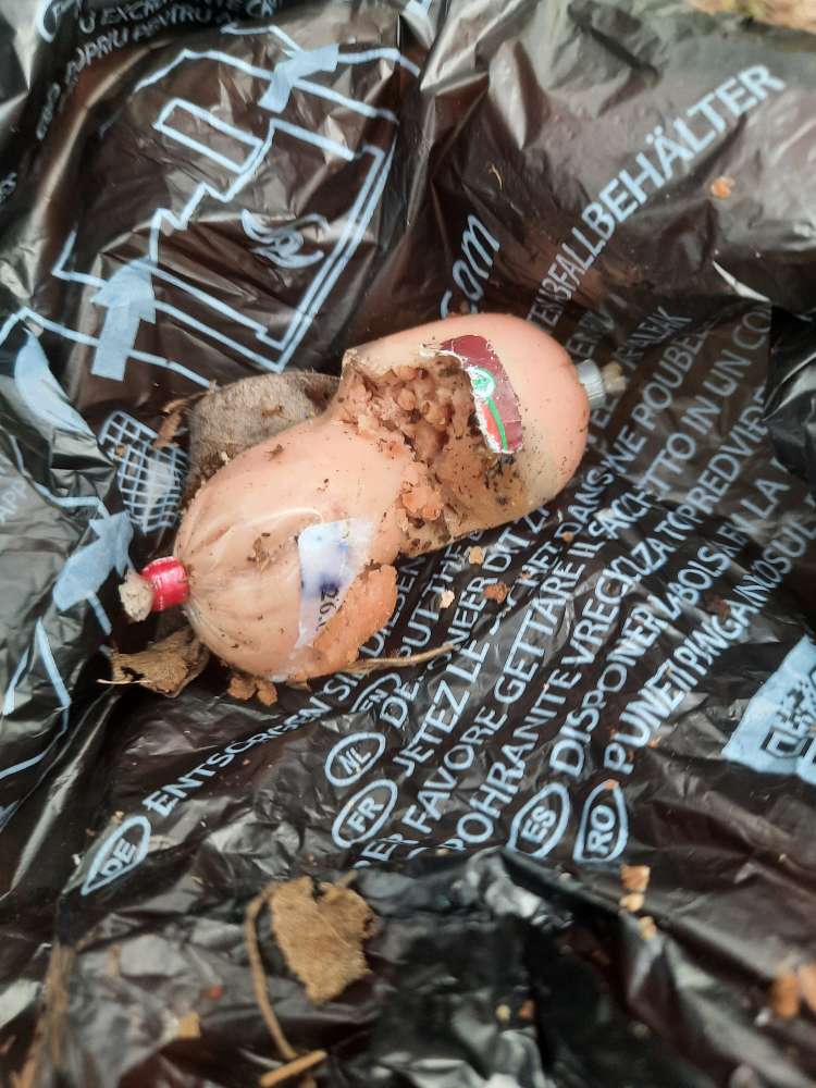 Giftköder-Giftköder-Profilbild