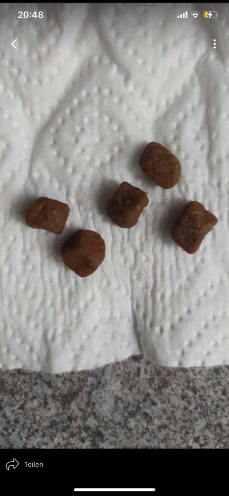 Giftköder-Mögliche Giftköder-Profilbild