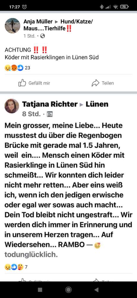 Giftköder-Köder mit Rasierklingen-Profilbild