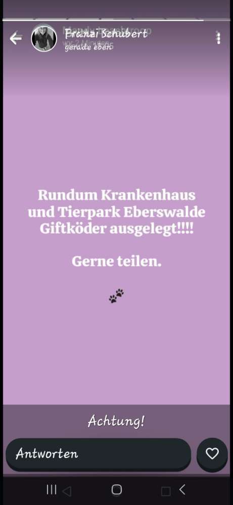 Giftköder-Giftköder-Profilbild