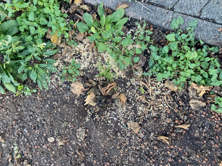 Giftköder-Achtung Giftköder-Profilbild