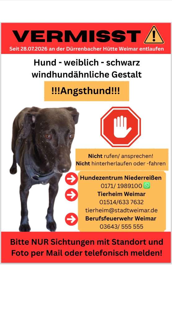 Suchmeldung-Tabea-Profilbild