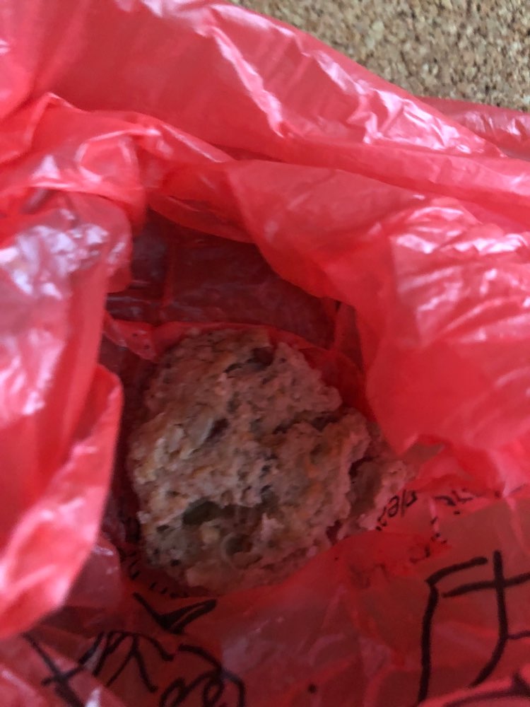 Giftköder-Eventuell Giftköder-Profilbild