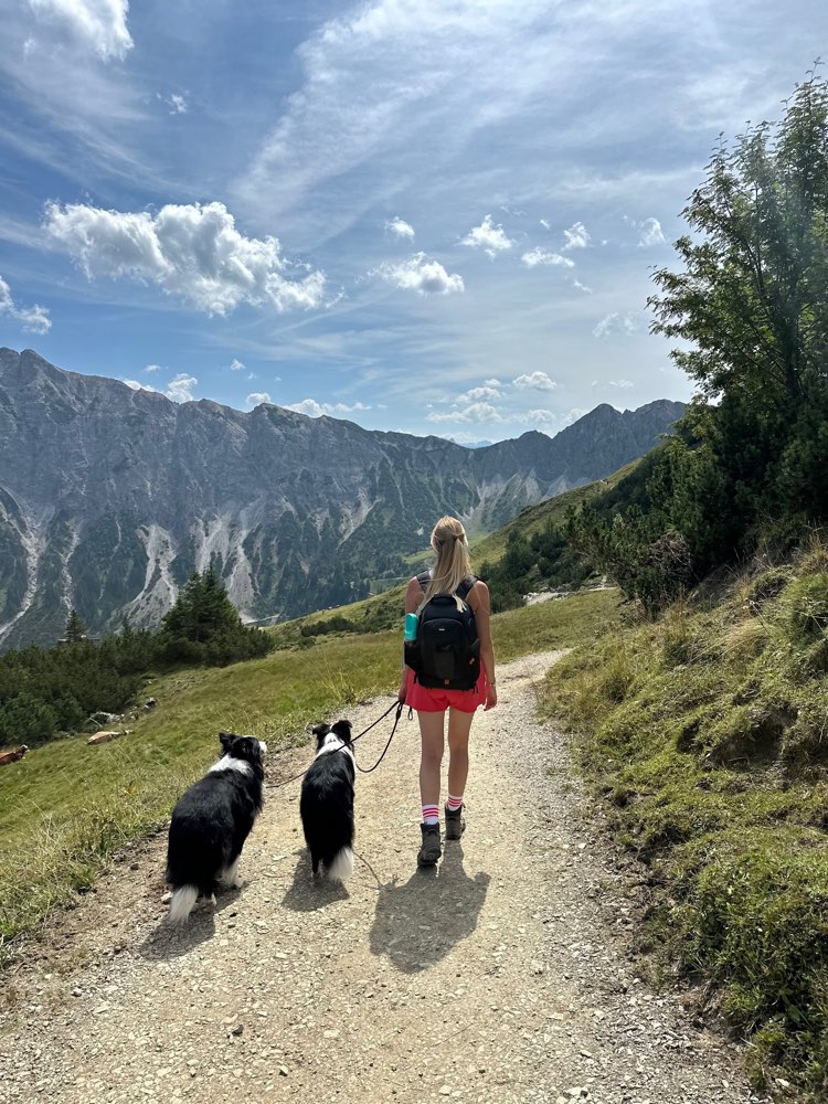 Hundetreffen-Social Walk-Profilbild