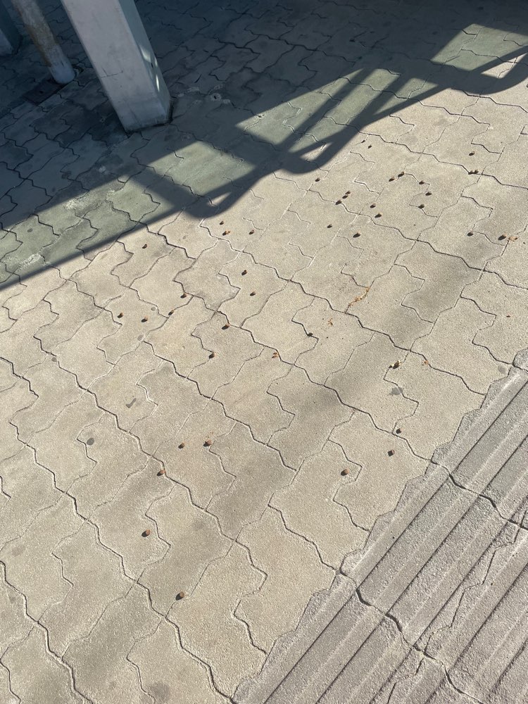 Giftköder-"Leckerlis" Gleis 3 & 4-Profilbild